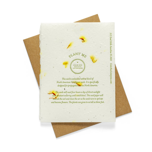 Rooting for you  | Seed Card | Letterpress Greeting Card